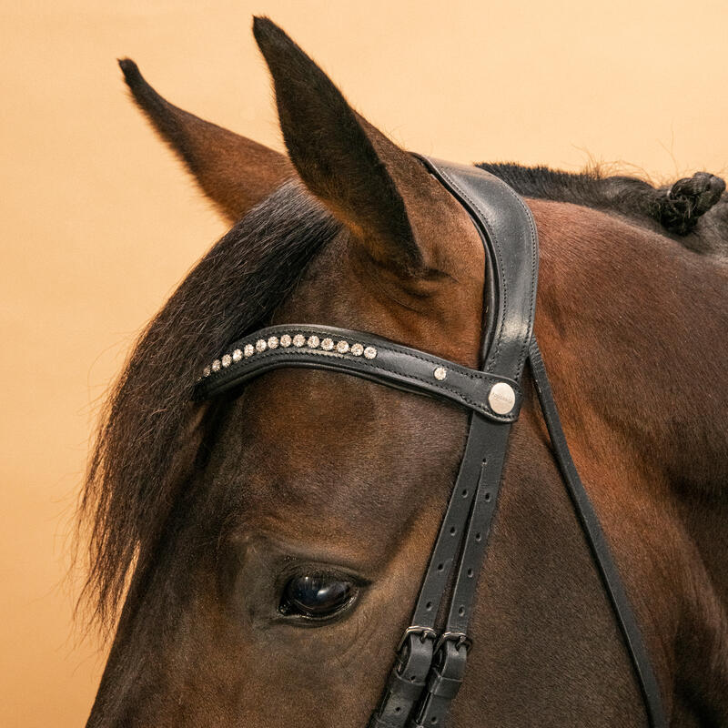 Cabeçada de Dressage Equitação Cavalo e Pónei 900 Preto/Branco