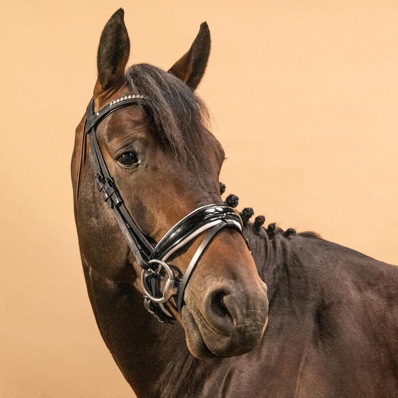 Testiera equitazione dressage pony e cavallo 900 nero-bianco