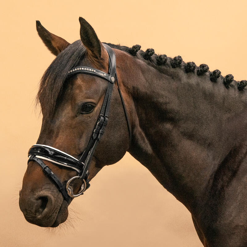 Dressur-Trense Pferd/Pony - 900 schwarz/weiss