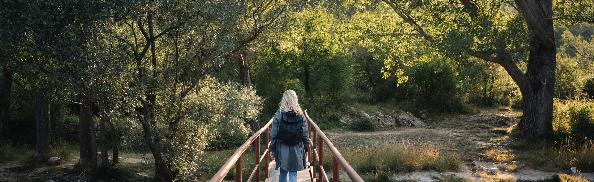 nordic walk 500 nw p100
