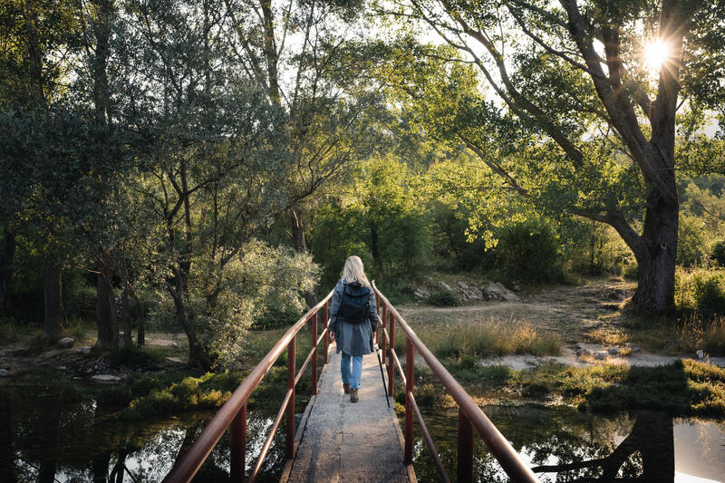 Waarom is de herfst het beste seizoen om te wandelen?