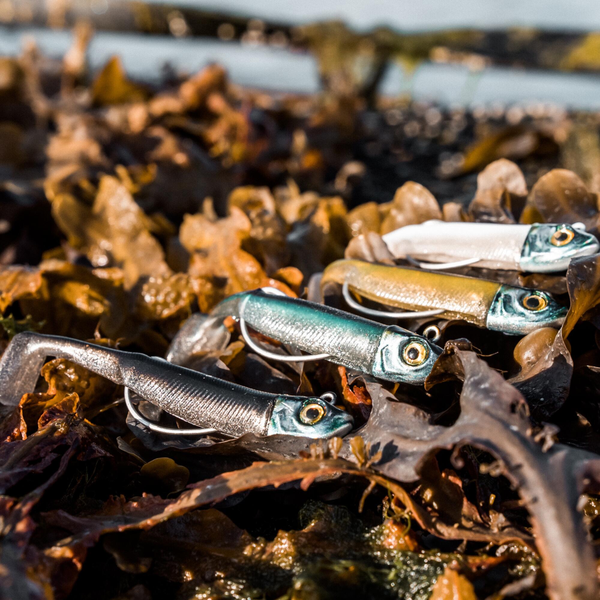 COMBO shad texan anchois ANCHO 70 6gr AYU/BLEU pêche en mer 12/12
