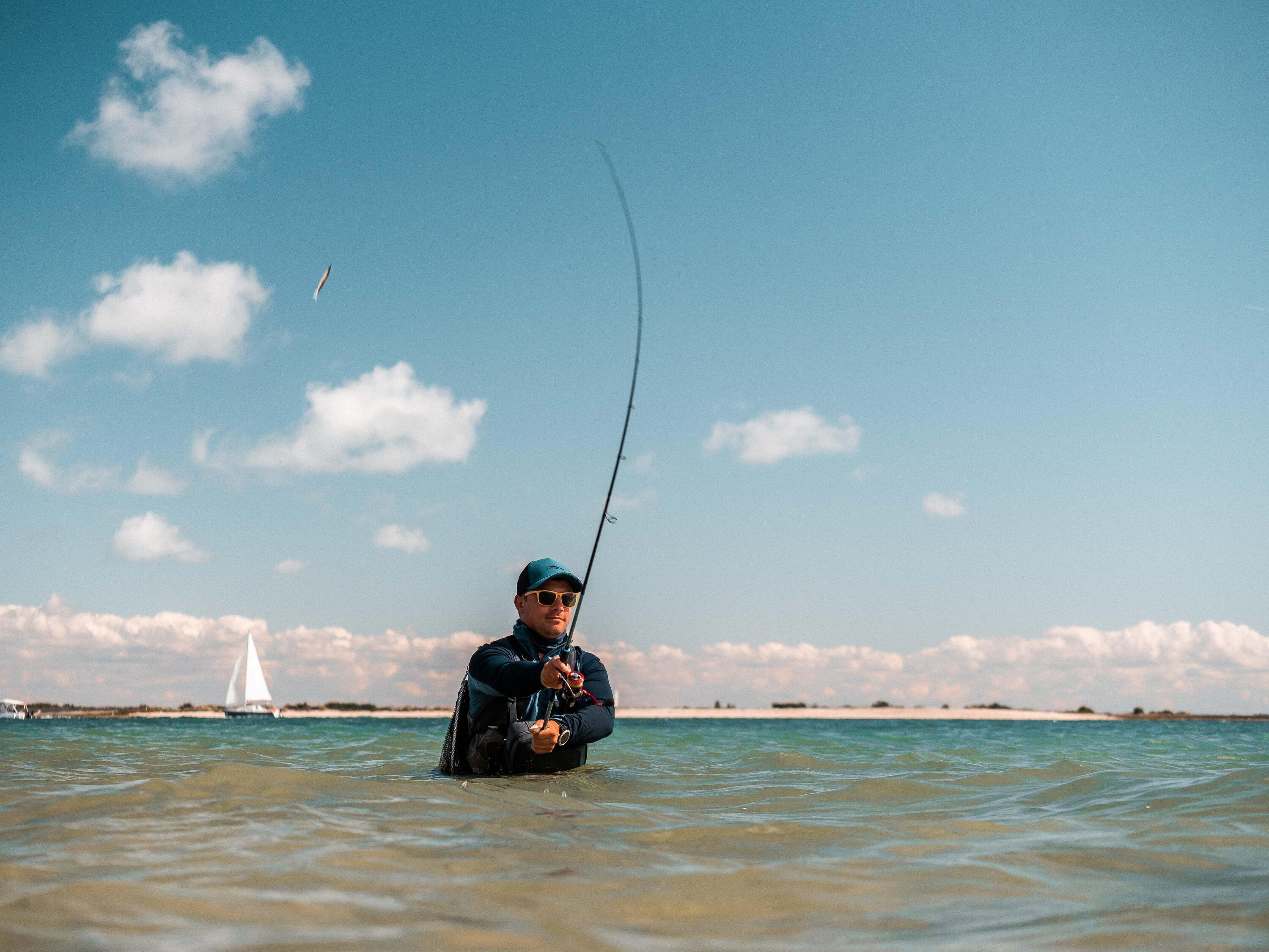 Amostras Pesca no Mar Shad Texan Anchova COMBO ANCHO 70 6 g BRANCO/DORSO PRETO 7/10