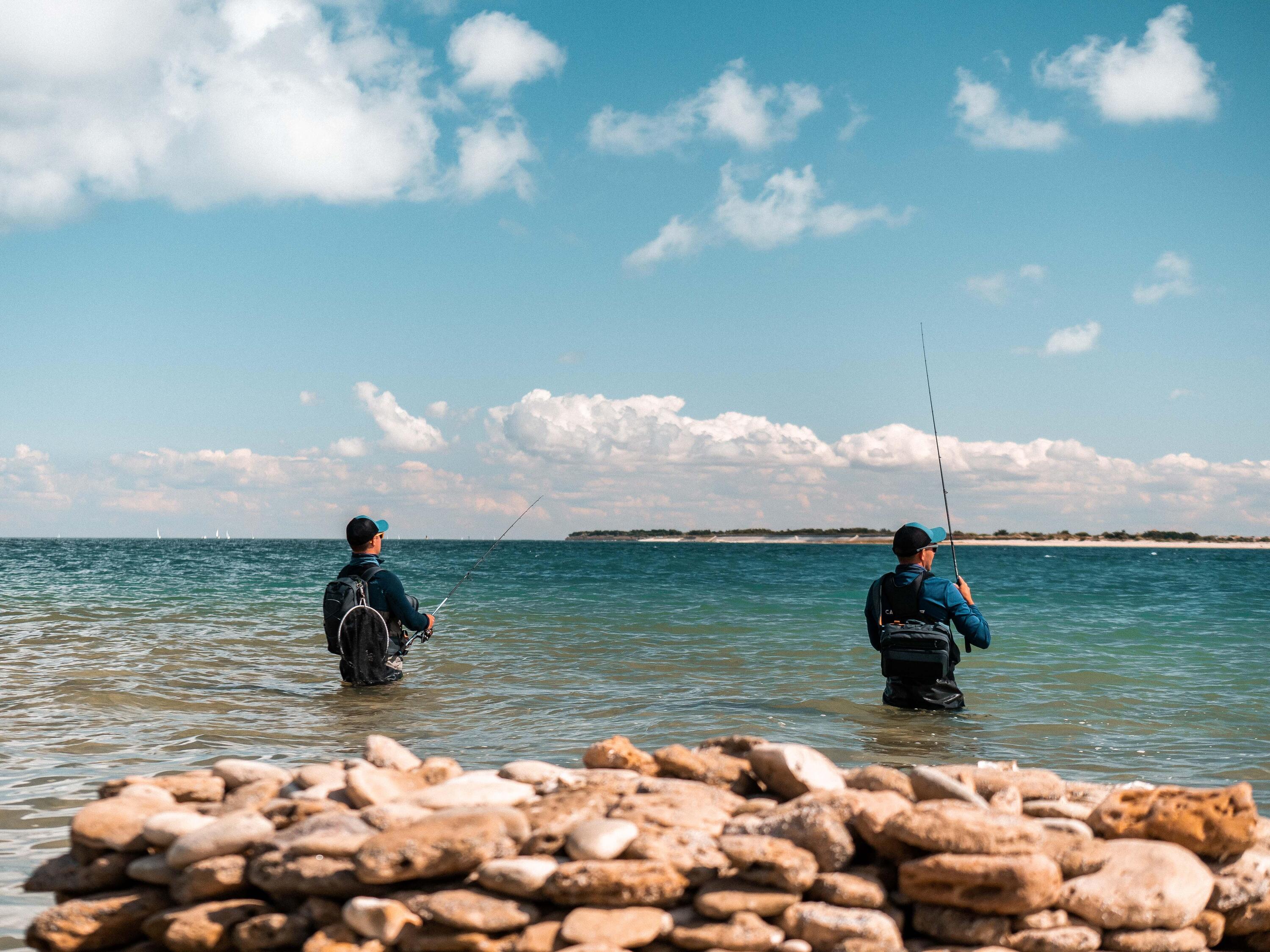 Amostras Pesca no Mar Shad Texan Anchova COMBO ANCHO 70 6 g BRANCO/DORSO PRETO 8/10