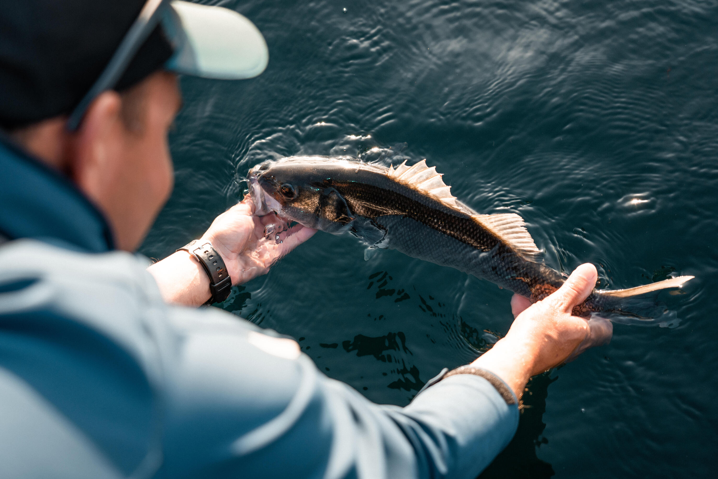 Gummiköder Texas Shad Ancho 120 12 g schwarz/weisser Rücken 13/14
