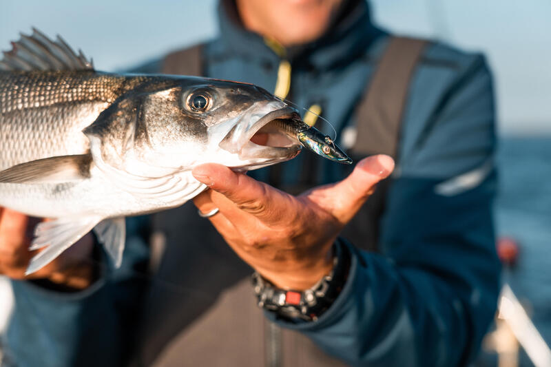 COMBO leurres souples shad lançon EELO 110 12gr DOS NOIR/DOS BLANC