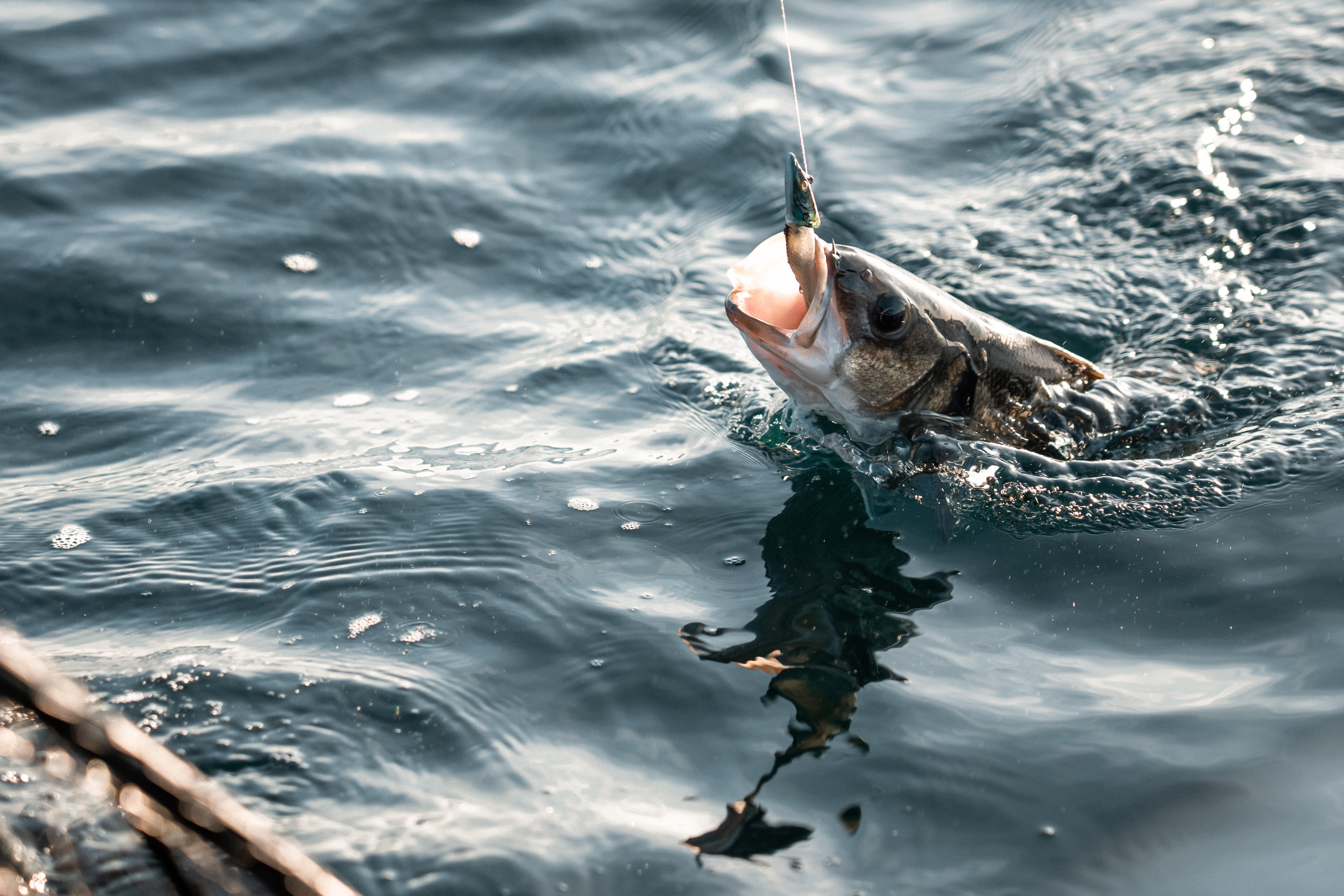 PRO PACK KIT BLACK BASS SOFT FISHING LURES - Decathlon