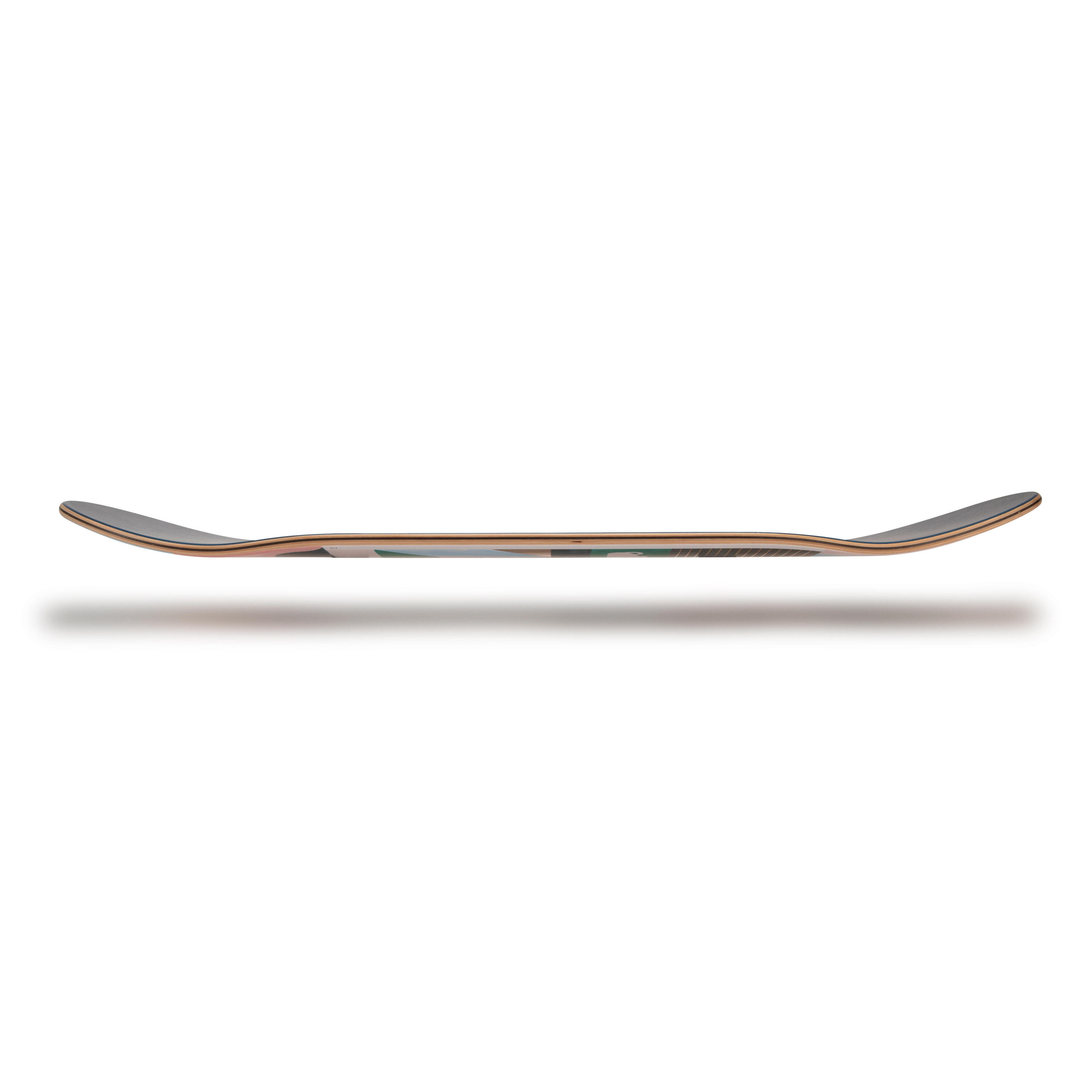 Skateboardová deska z javoru DK500 Popsicle velikost 8,25" provedení @TOMALATER 3/12