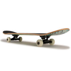 7.75" FSC Maple Complete Skateboard CP100