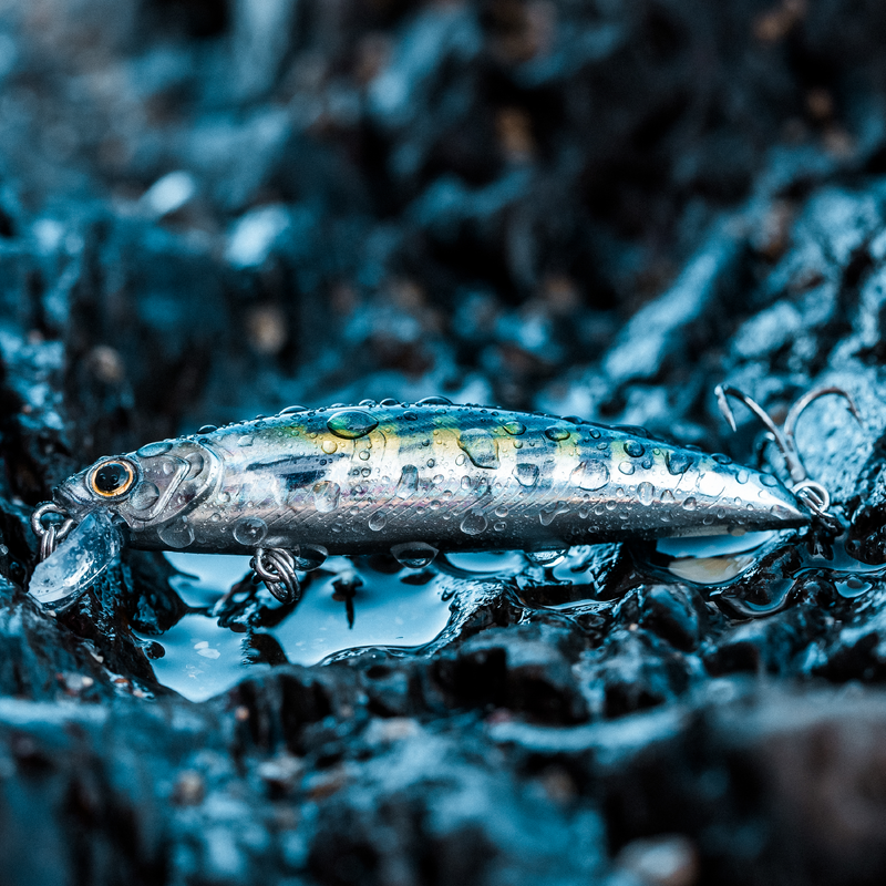 POISSON NAGEUR LUREFANS DK5 à 13,90 € par LUREFANS | Action Pêche