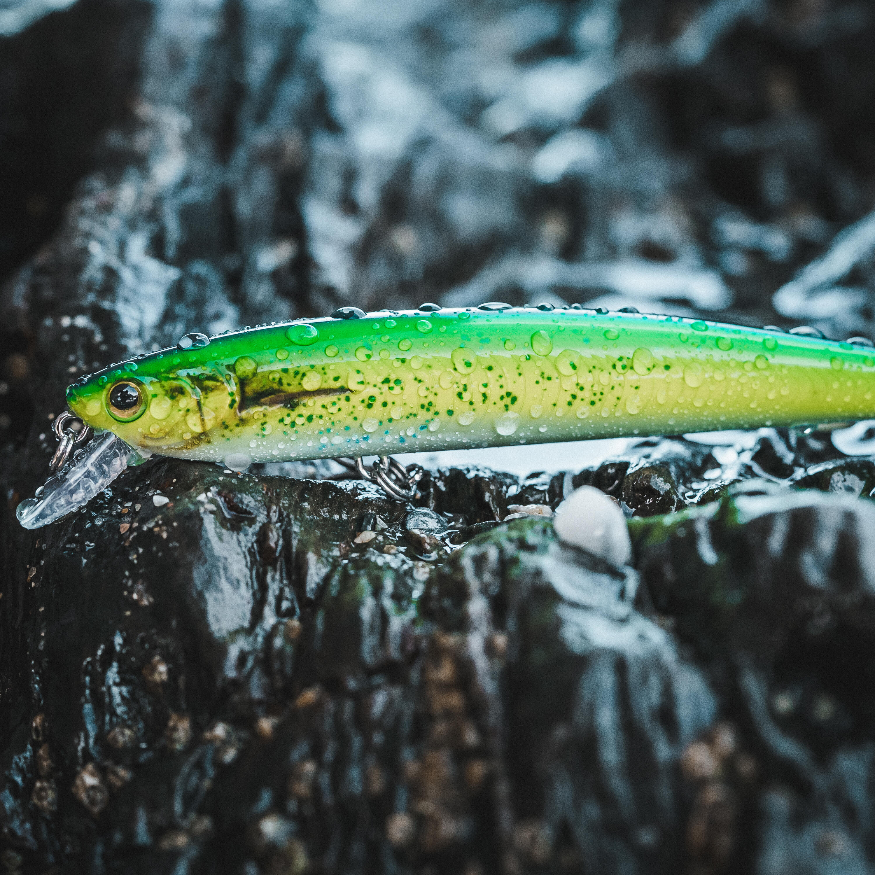 Plug bait at Sea Hard Lure SAXTON 110SP mahimahi 3/9