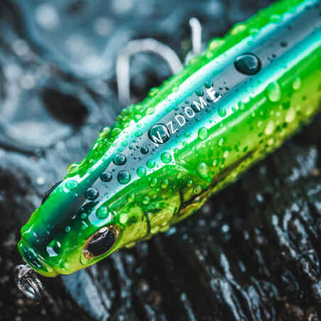 Plug bait at Sea Hard Lure WIZDOM 110F mahimahi