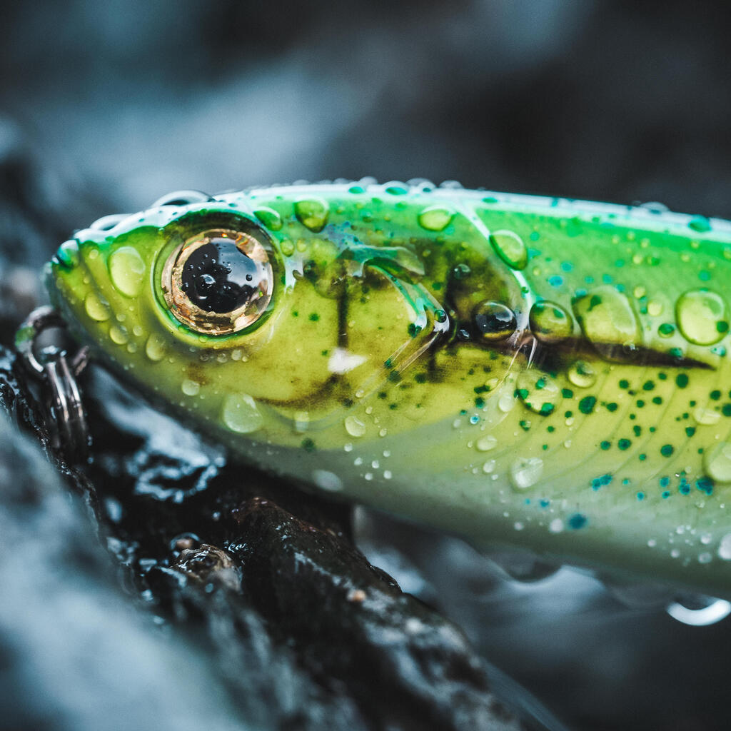 Poisson nageur WIZDOM 110F Bonito au leurre en mer