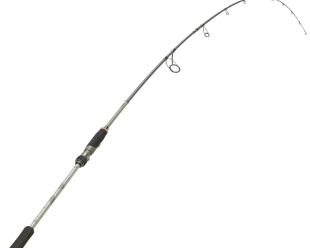 JE COMMANDE LES PIÈCES DÉTACHÉES DISPONIBLES POUR MA CANNE WXM 5