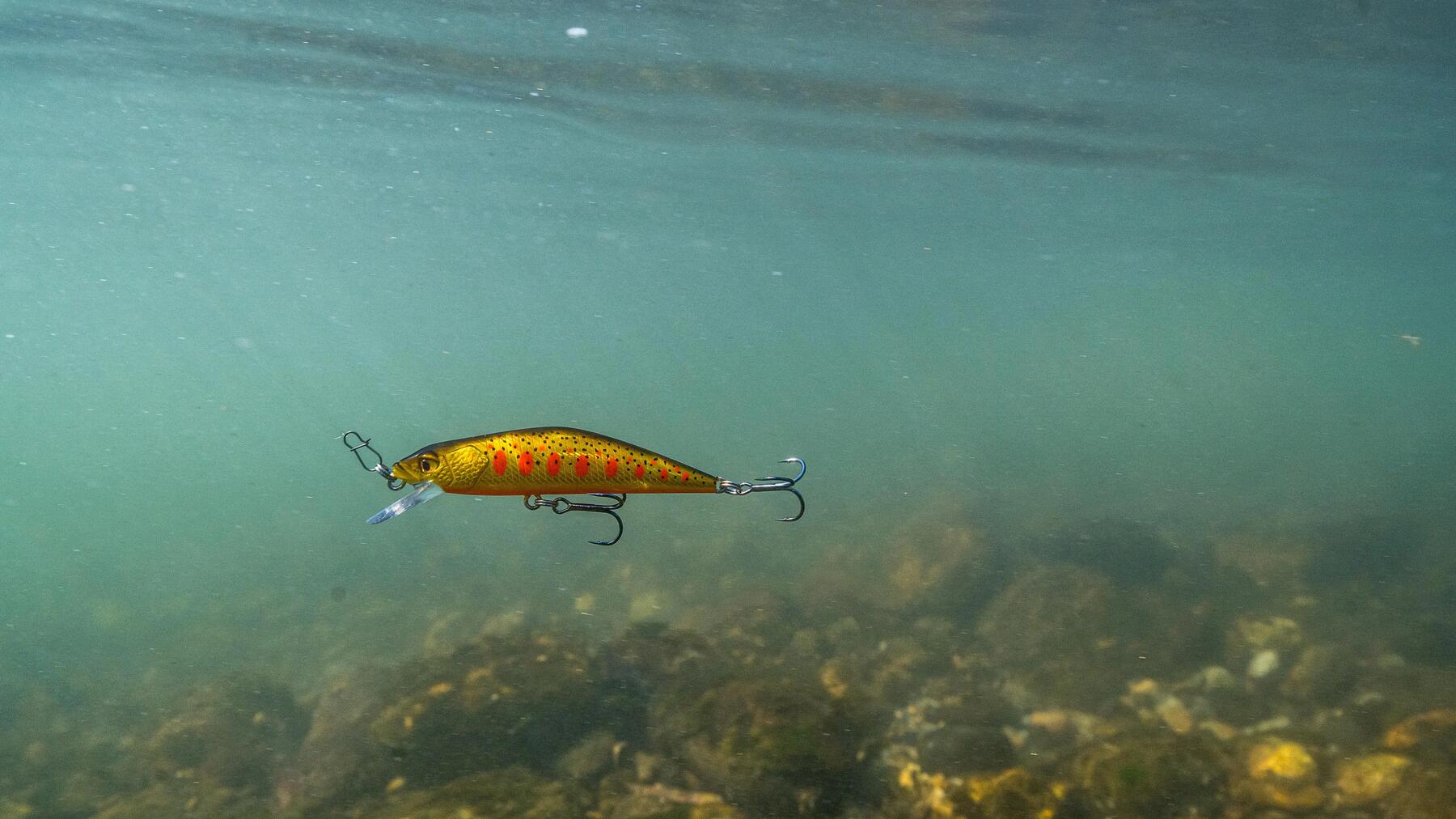 Un poisson nageur avec une bavette pour pêcher la truite