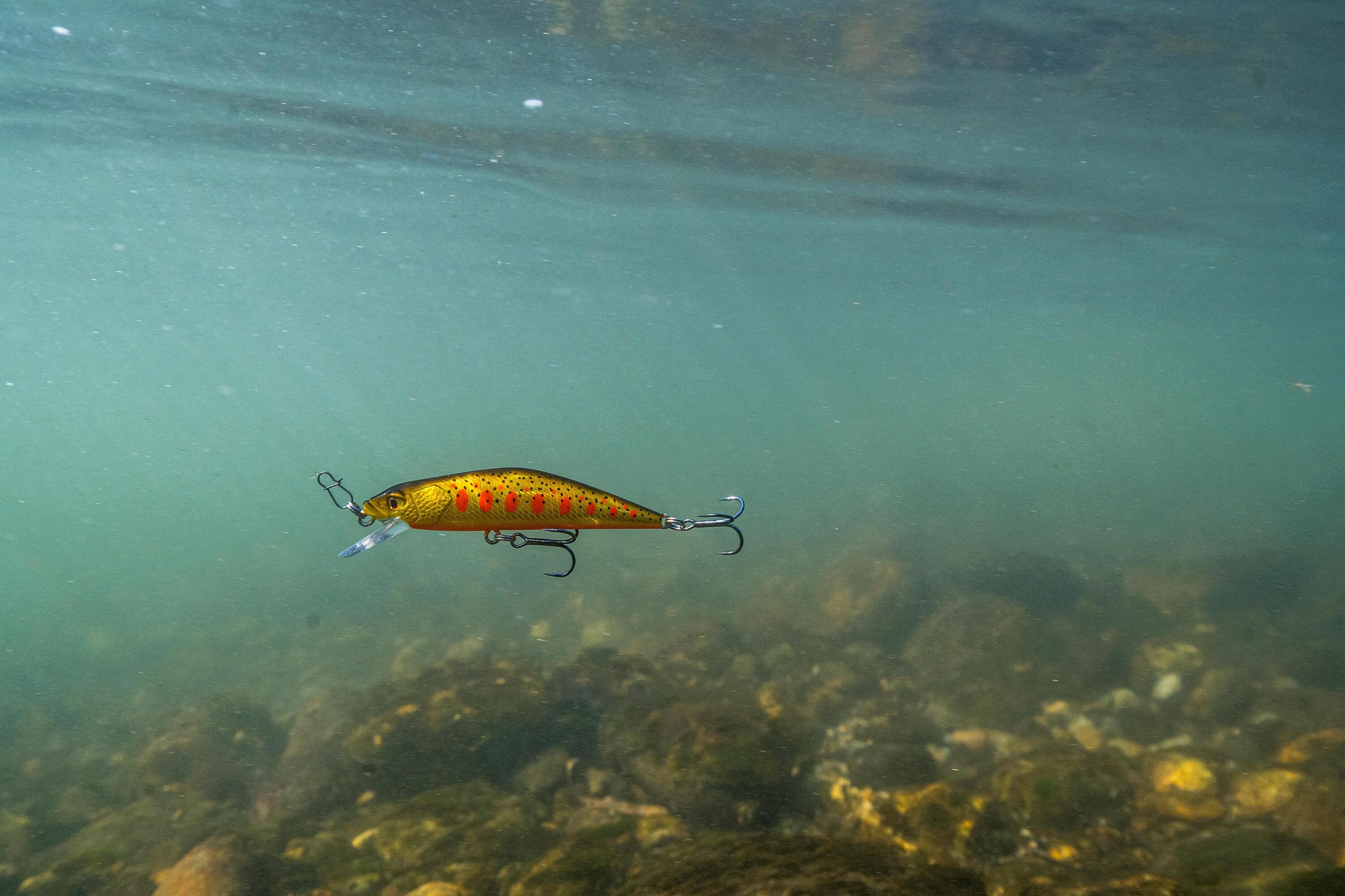 Leurre flottant sébile bull minnow