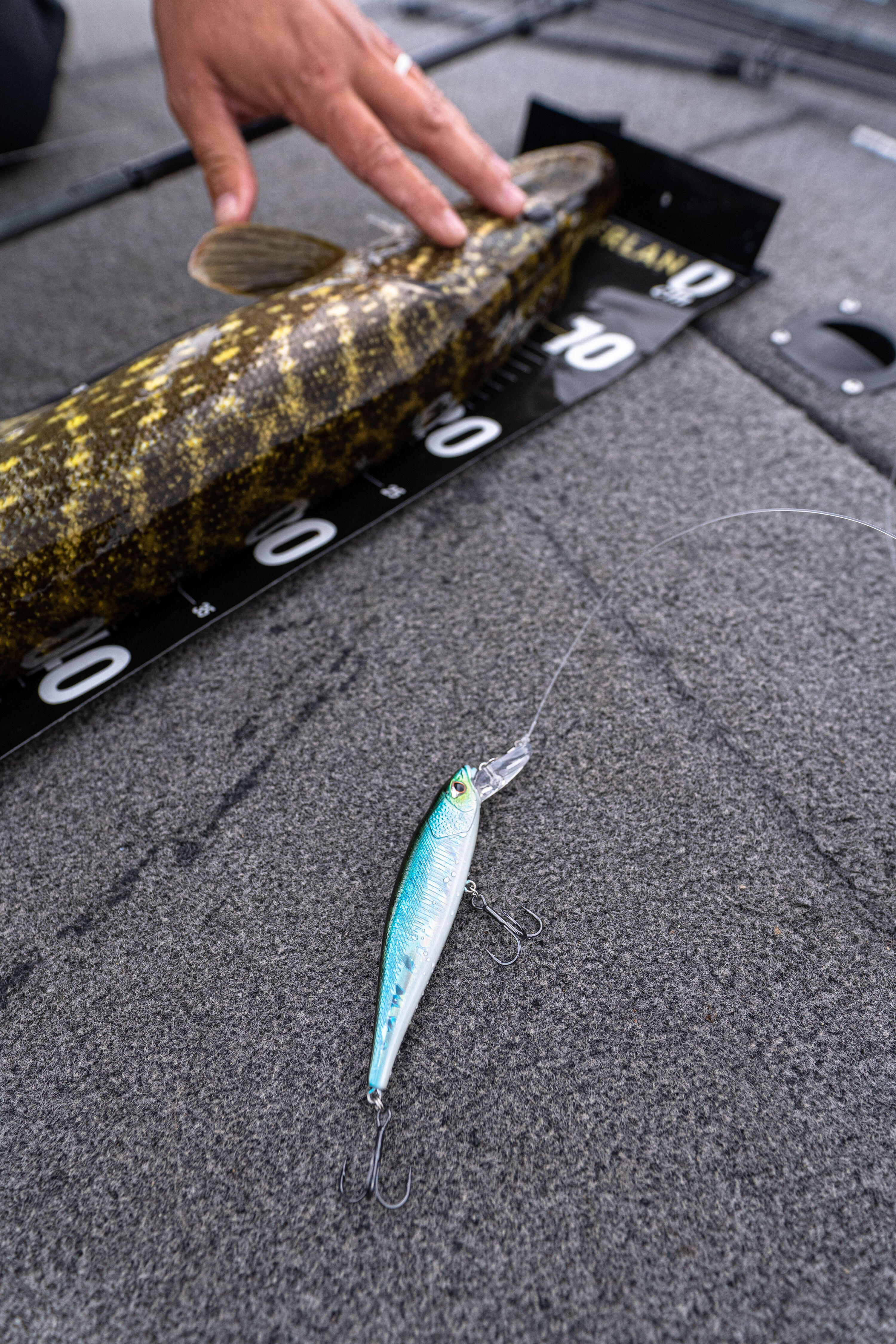 Señuelo de Pesca Spinning Jerkbait Minnow Wxm Mnw 100 SP Dorso Azul 5/5