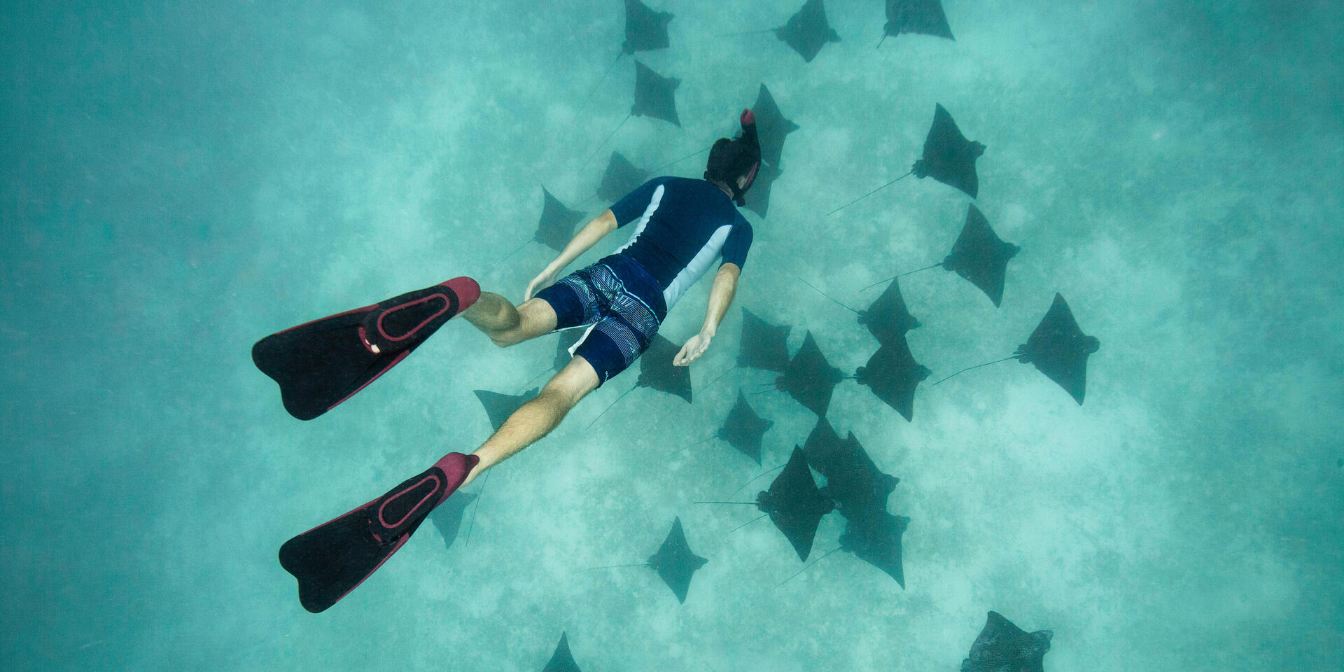 Le snorkeling par Decathlon