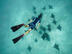 snorkeling, comment choir son spot