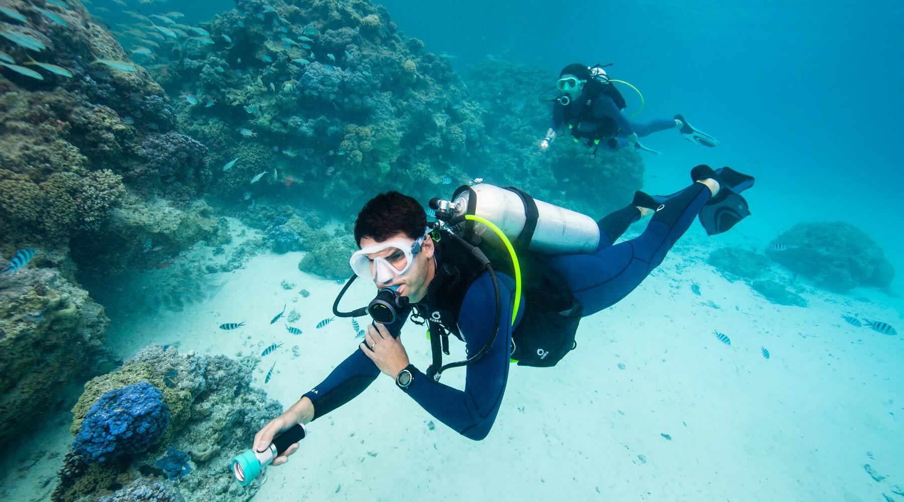 Zwei Menschen im Wasser mit Tauchmaske