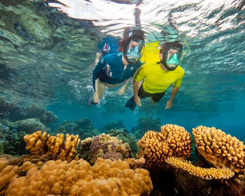 Como escolher o local para a prática de snorkeling ? 