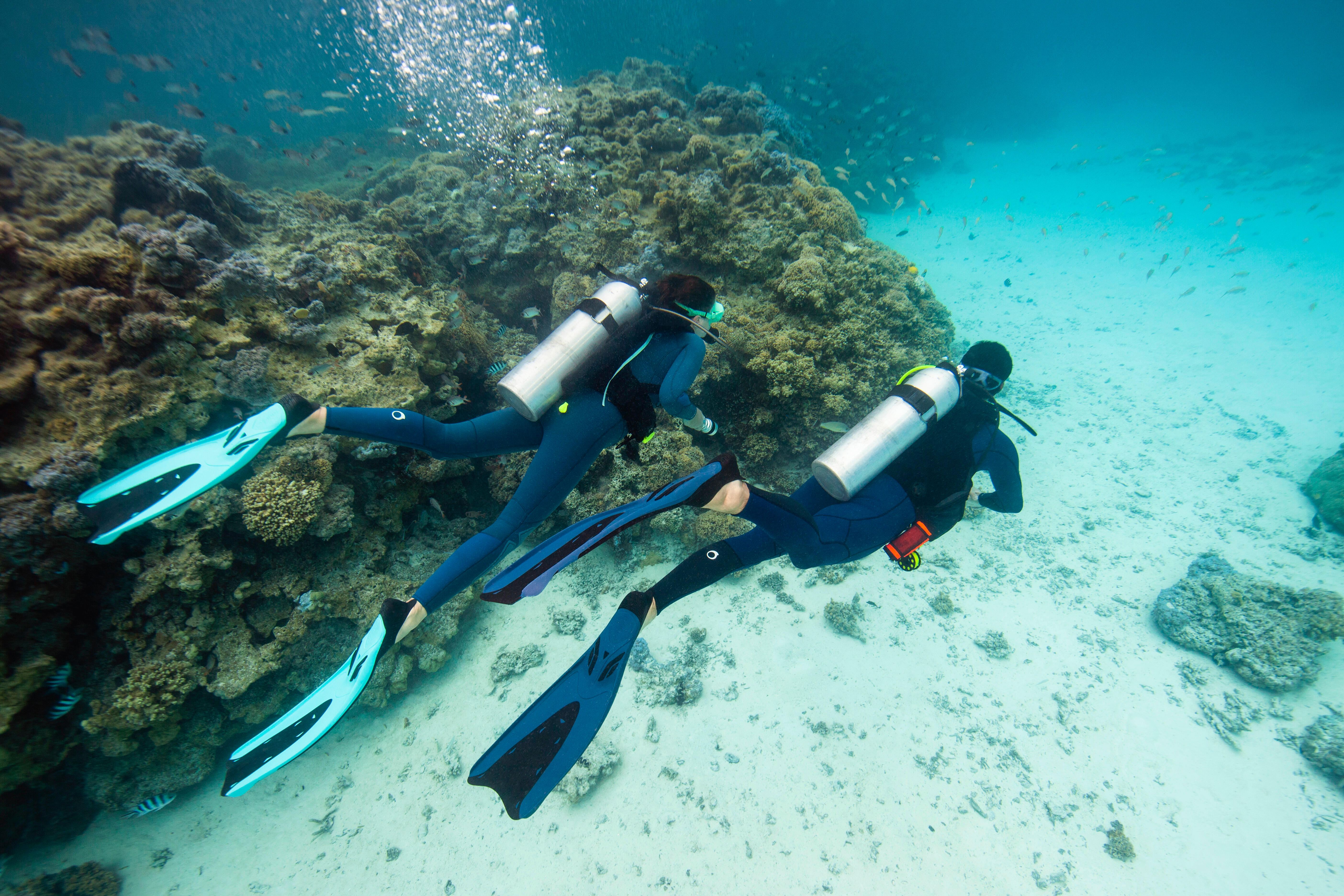 Personas buceando bajo el agua