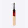 Cricket Bat for Hard Tennis Ball Cricket Bat -  T900 Power red