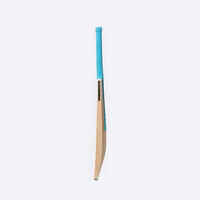 ADULT KASHMIR WILLOW CRICKET BAT KW 100 DRB TURQUOISE