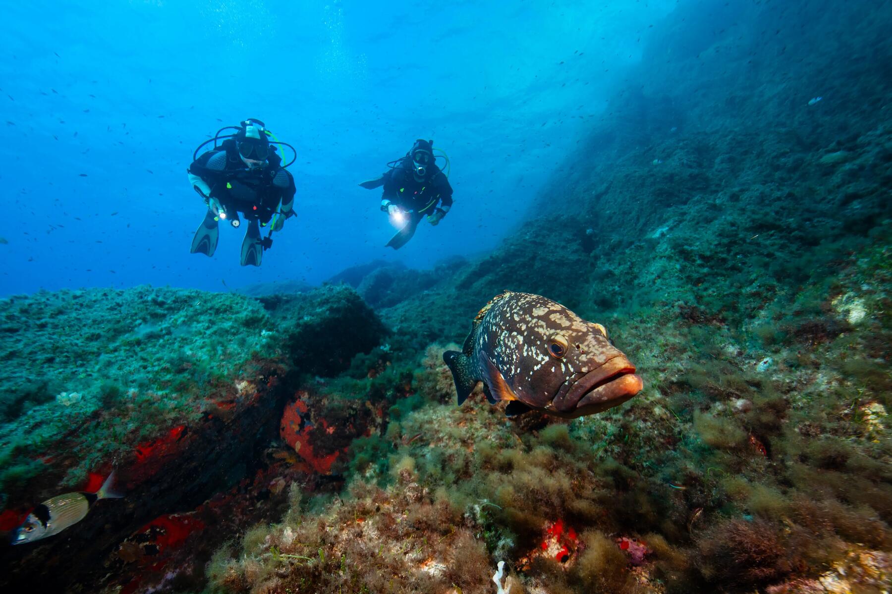 hombre buceando en andalucia