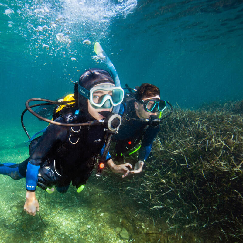 conseil pour passer du snorkeling vers la plongée sous marine subea