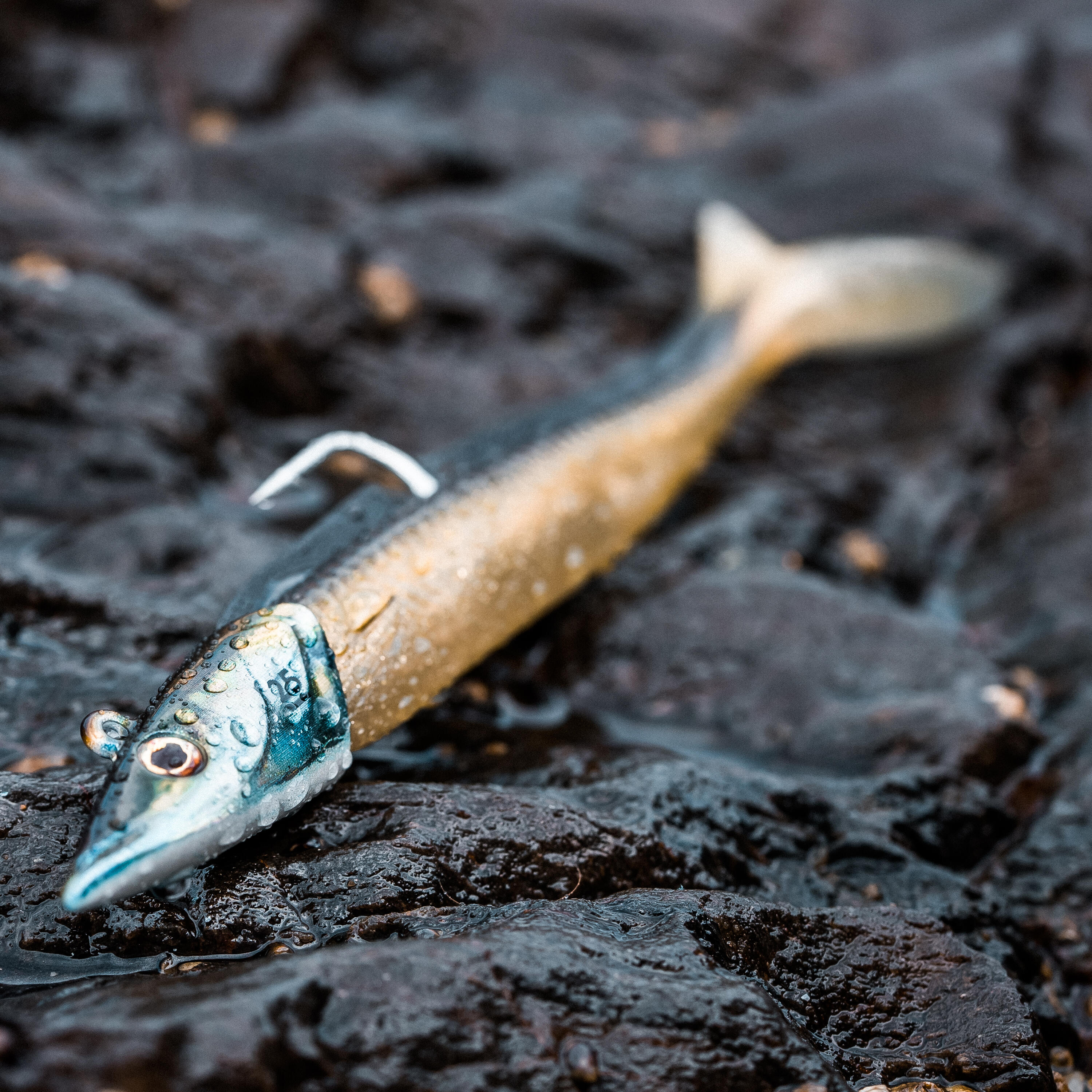 Sand Eel Shad Soft Lure 25 g - Combo Eelo 150 Ayu/Blue - CAPERLAN