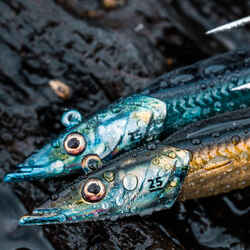 Sand Eel Shad Soft Lure COMBO EELO 150 25 g AYU/BLUE