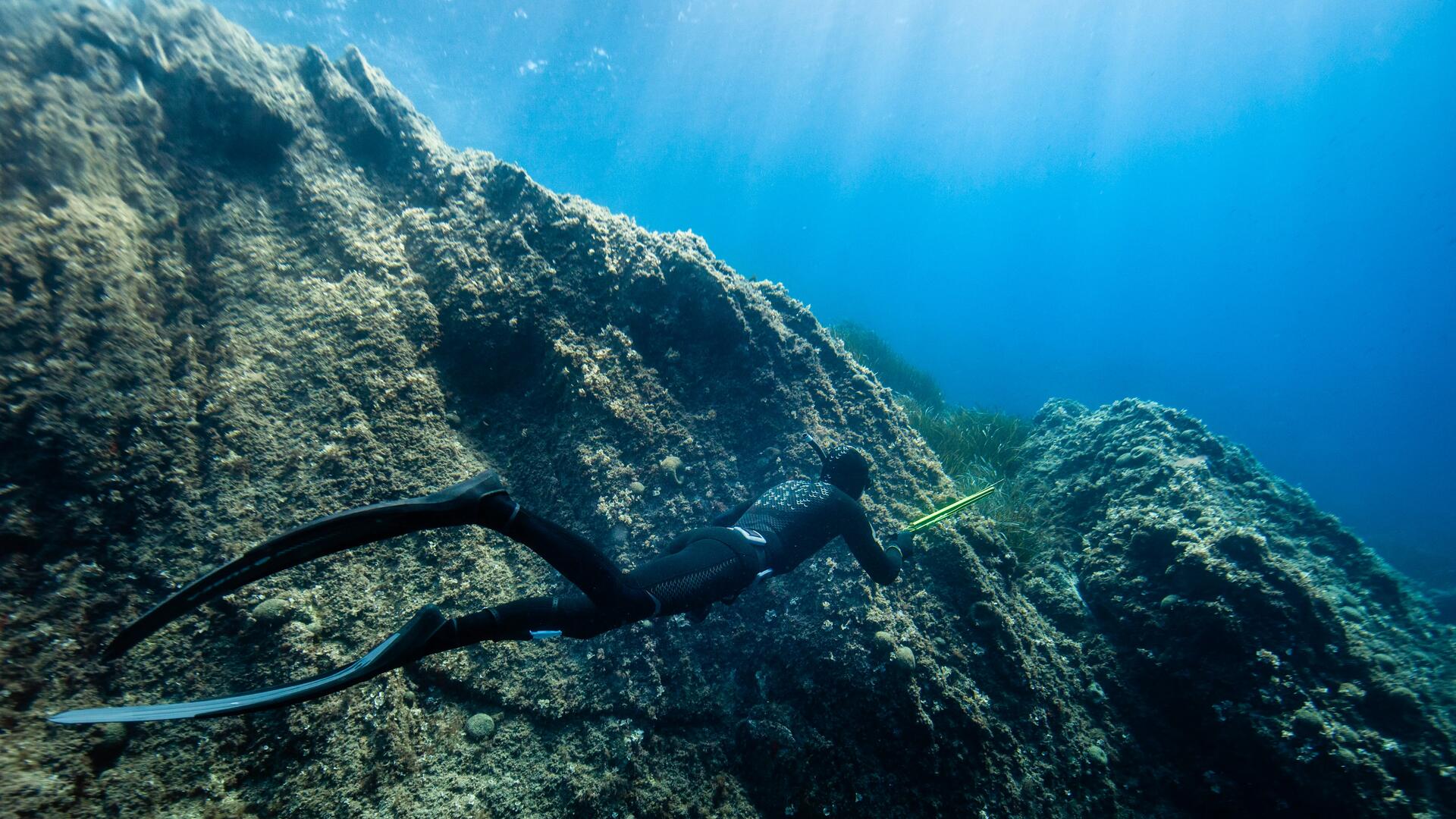 chasse sous marine