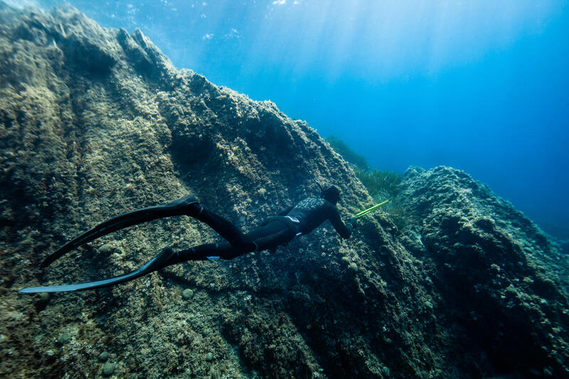 Quelle monopalme choisir ?