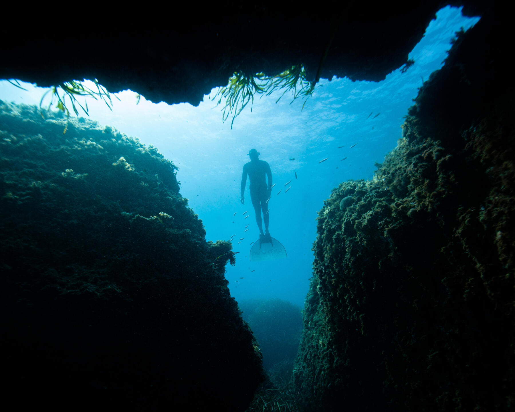 Le spot de Malapascua aux Philippines 