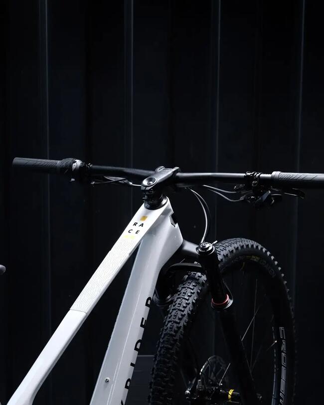 Bici Mtb Cross Country RACE 900 gruppo GX Eagle e ruote Mavic Crossmax alluminio