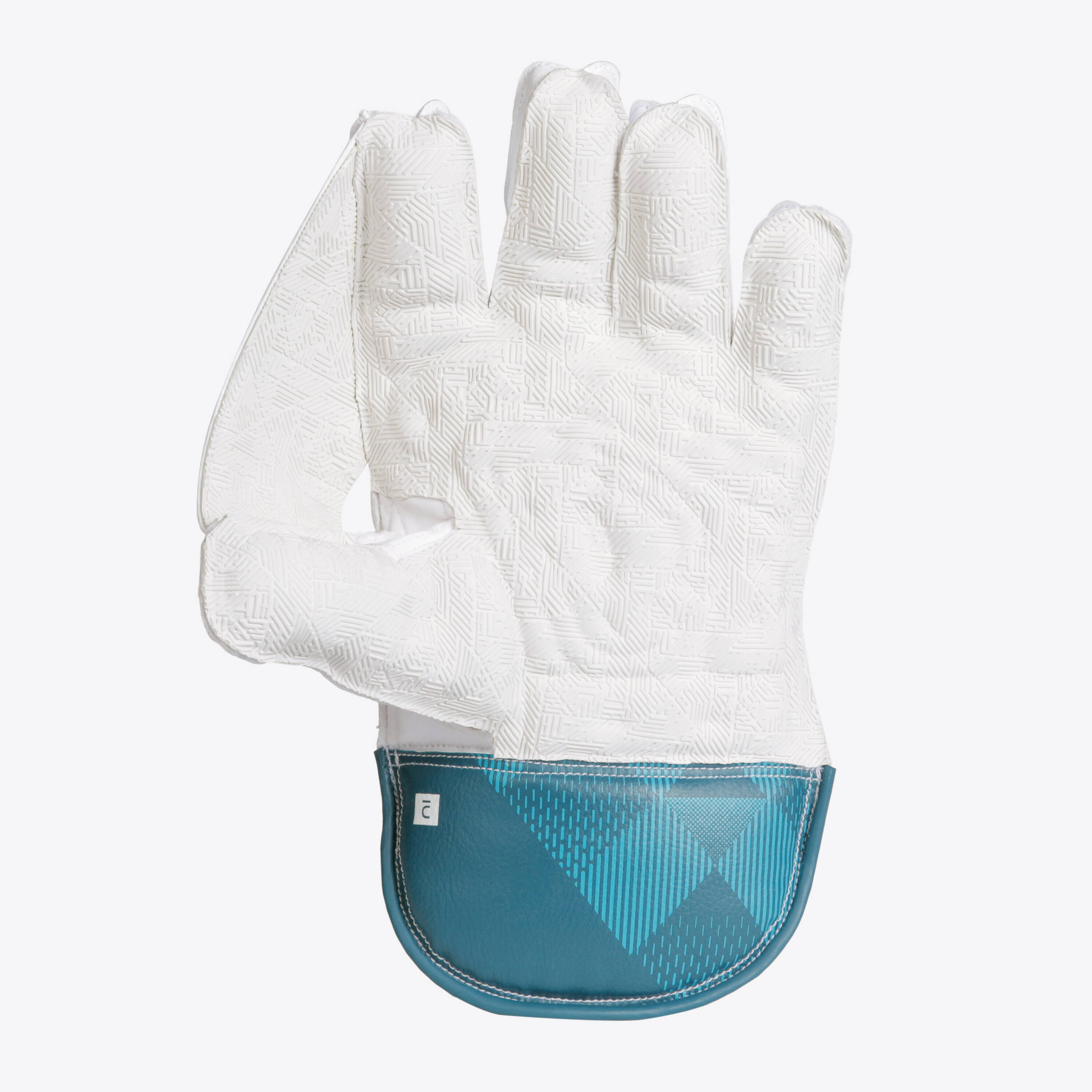 Adult Cricket Wicket Keeping Gloves WKG 500 Flexible & Durable -  2