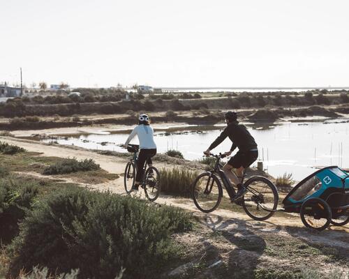 Bike trailers for family rides with the kids