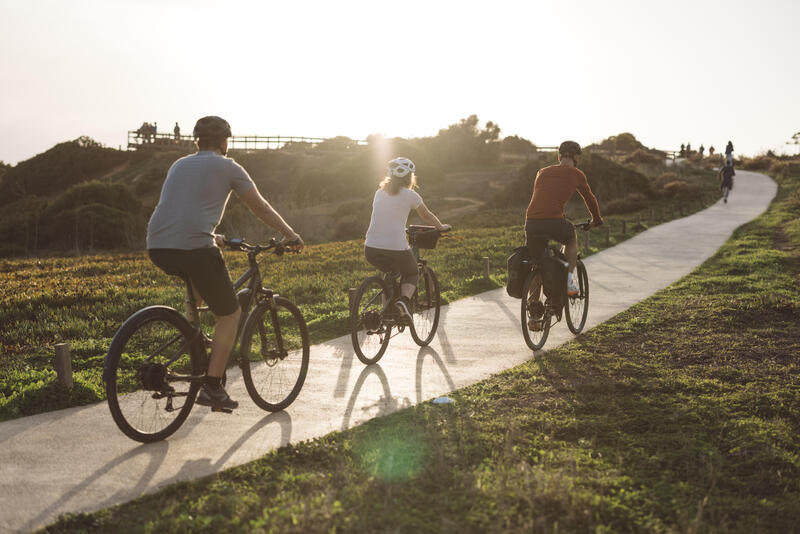 Soorten elektrische fietsen