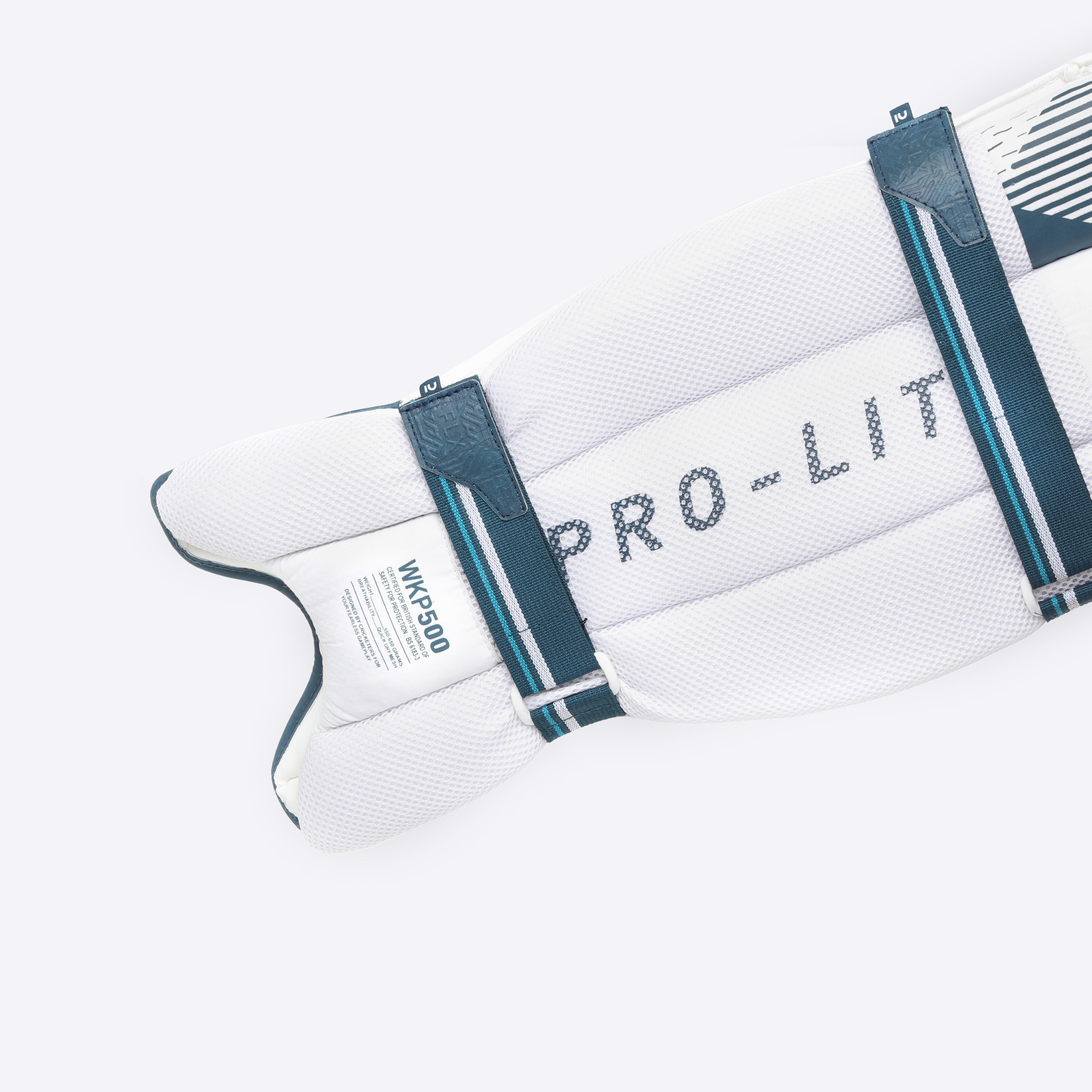 Adult Cricket Wicket Keeping Pads WKP 500 Secure Fit & Comfortable