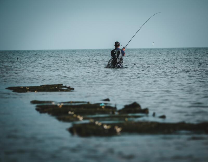 Minnow pesca in mare con artificiali SAXTON 110 SP Mahimahi