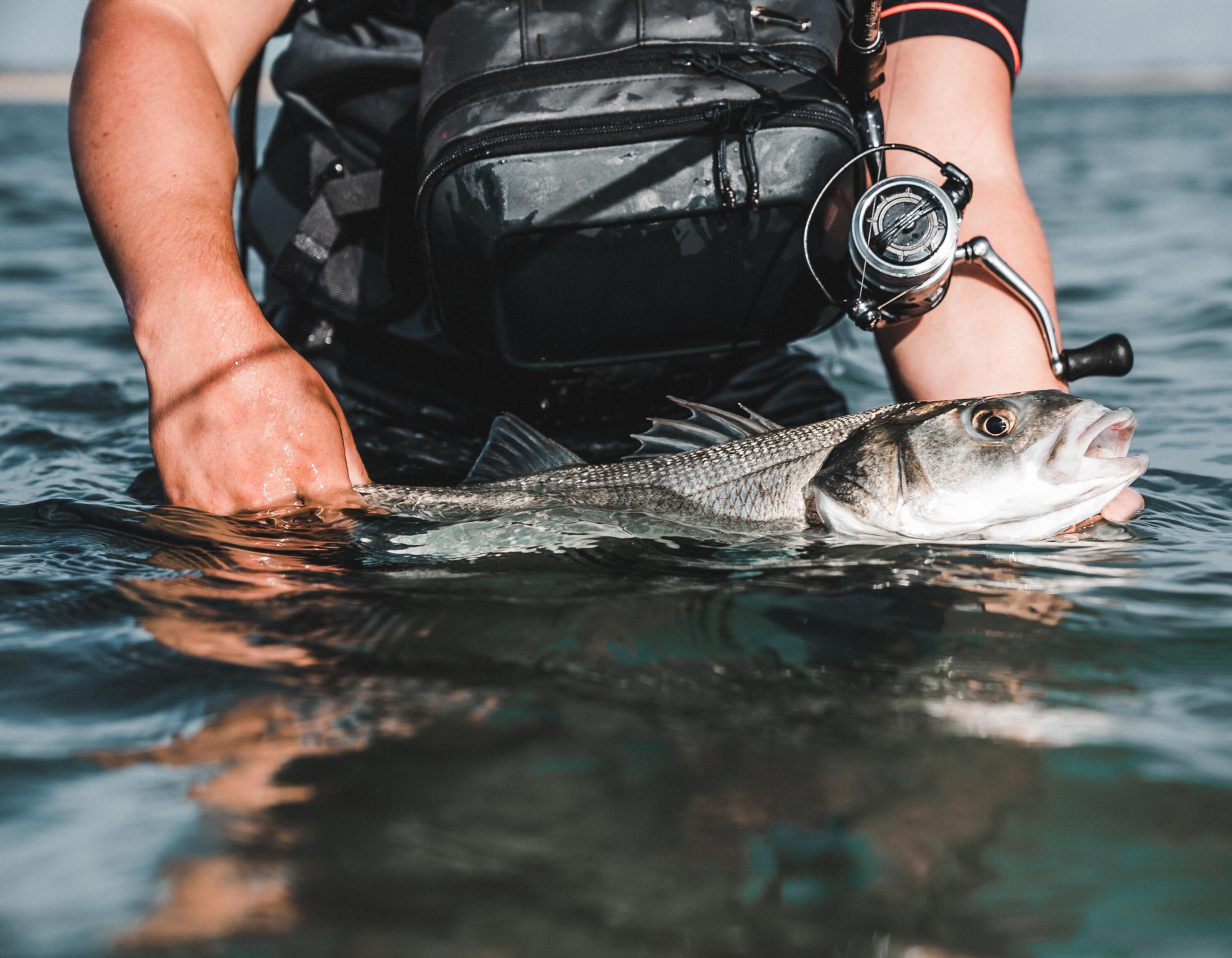 Minnow pesca in mare con artificiali SAXTON 75S sgombro verde 9/9