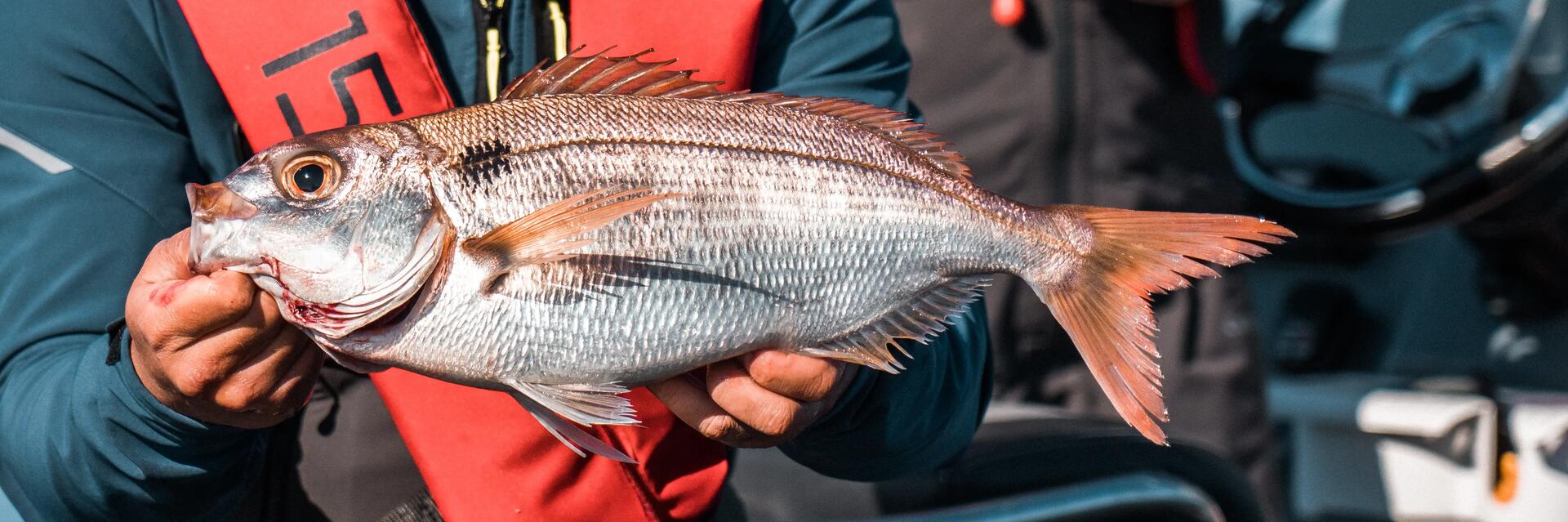 Casting jig Biastos