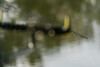 Фидерное удилище Sensitiv -500 Carp 3m60 /60-120g Caperlan