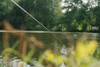 Фидерное удилище Sensitiv -500 Carp 3m60 /60-120g Caperlan