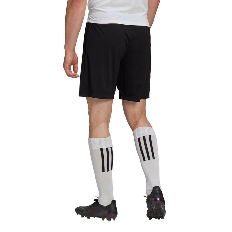 Damen/Herren Fußballhose kurz Entrada 22 schwarz Adidas