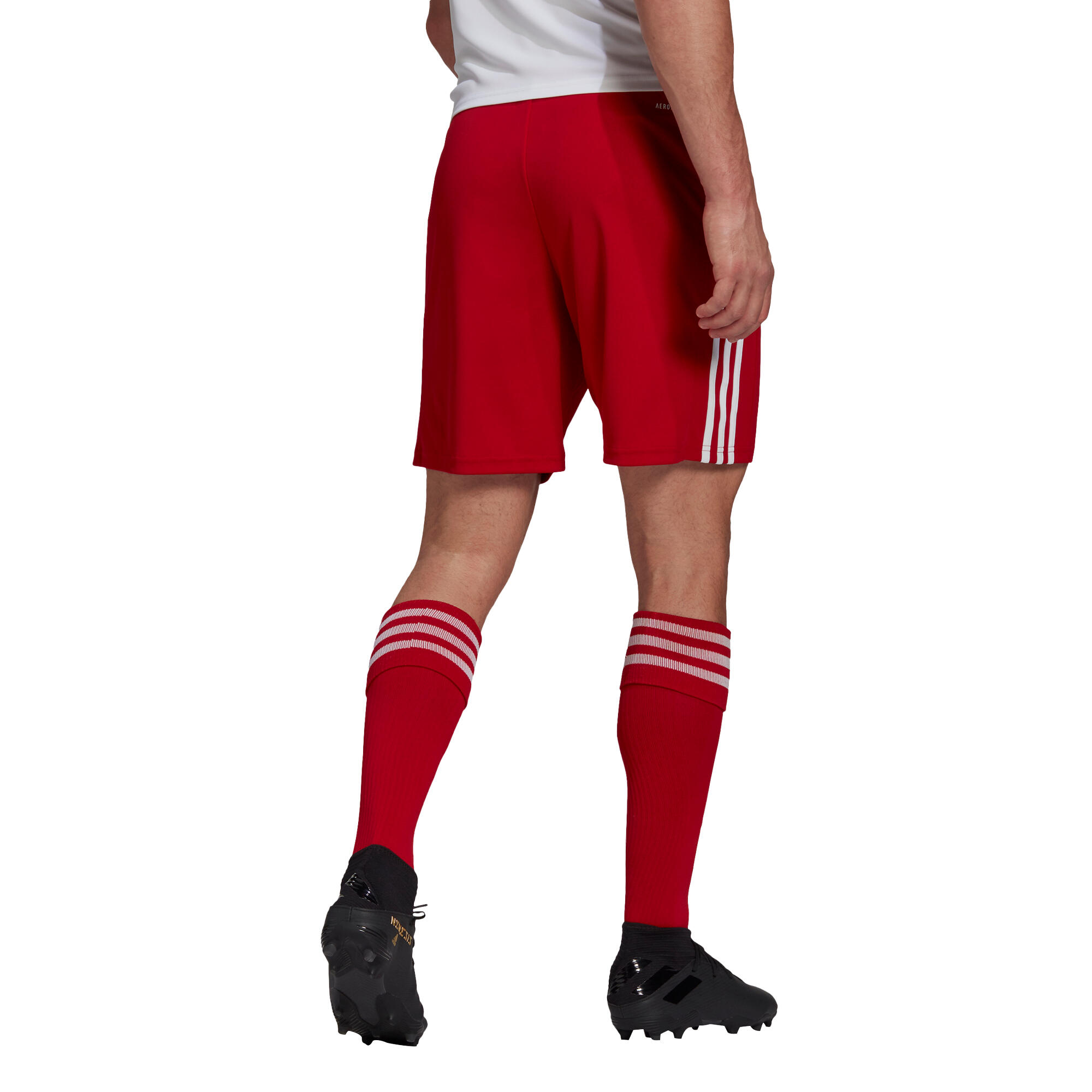 Adult Football Shorts Squadra - Red 5/7