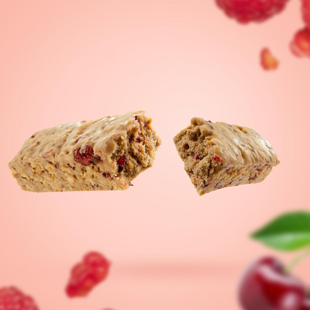 Vegan Protein Bar 4-Pack - Red Berries