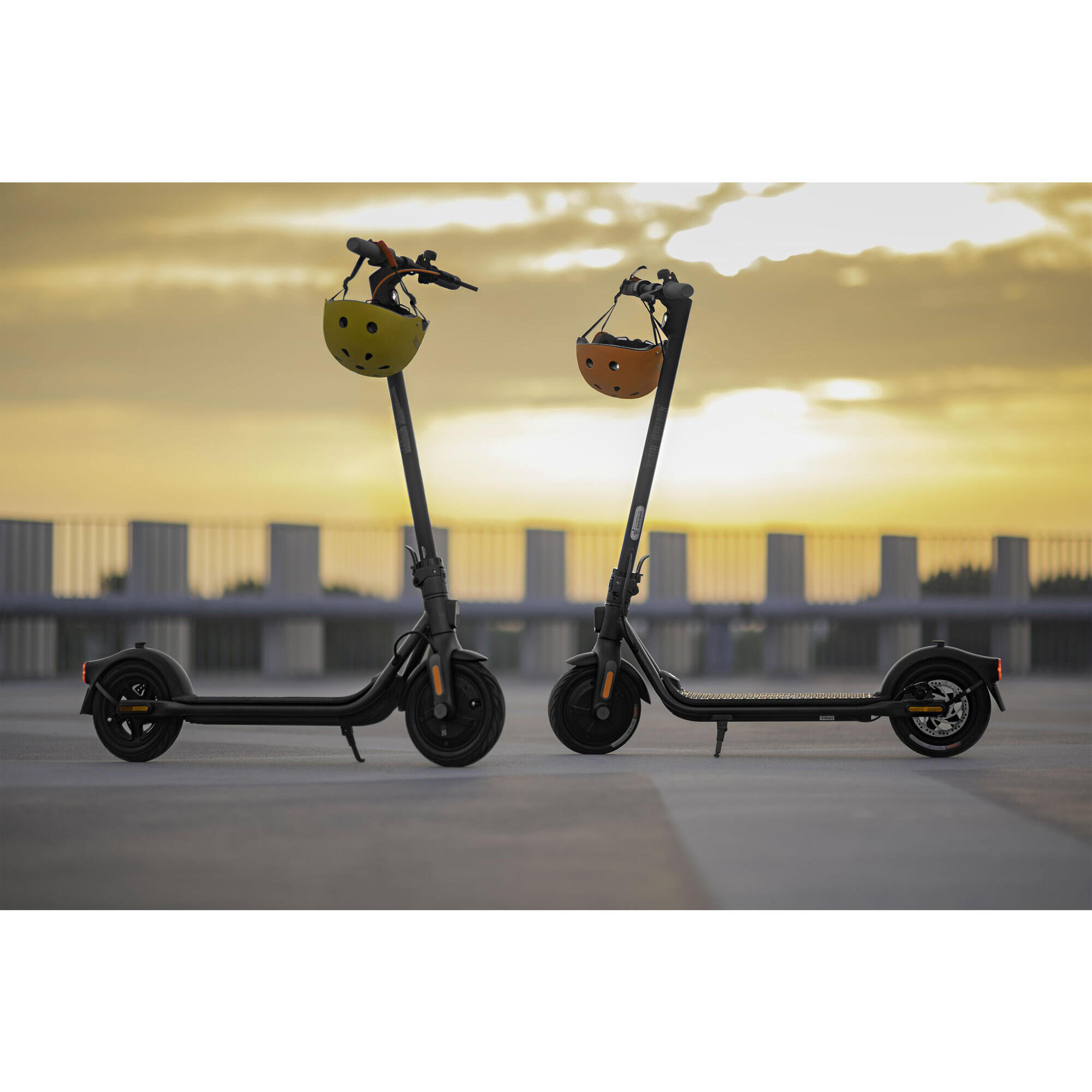 Segway Scooter elettrico - Ninebot KickScooter F20D