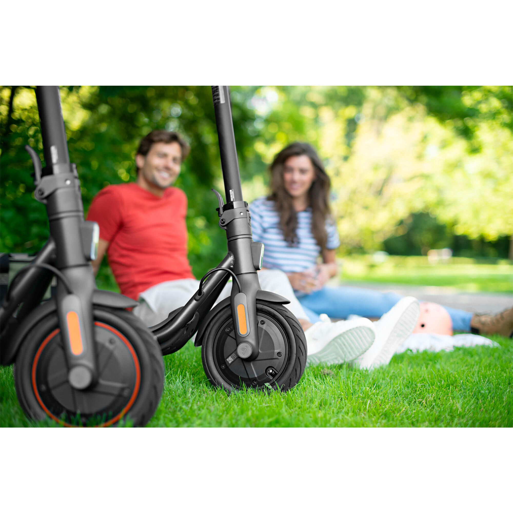 Segway Scooter elettrico - Ninebot KickScooter F20D